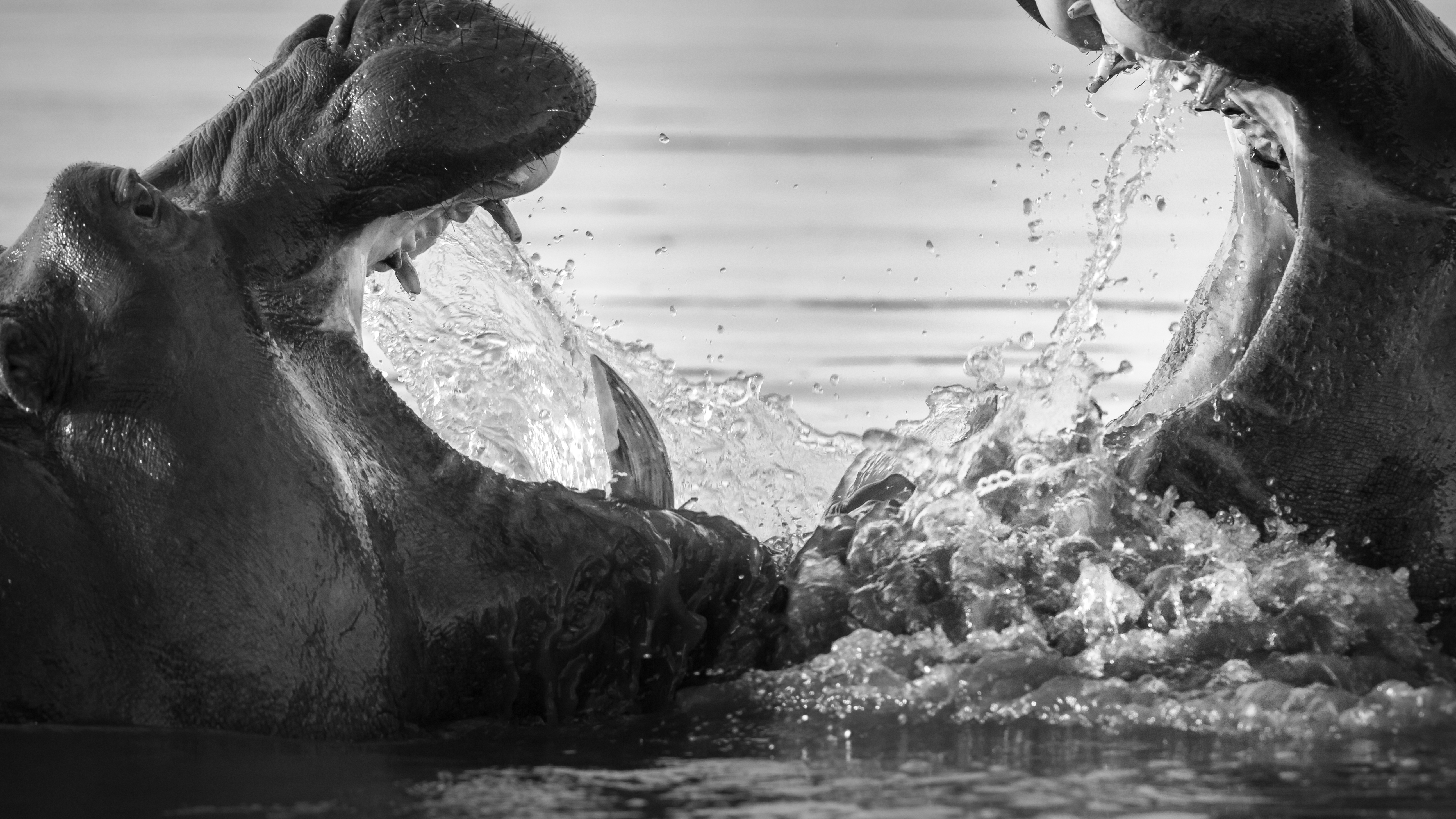 Gerry van Meurs 9165